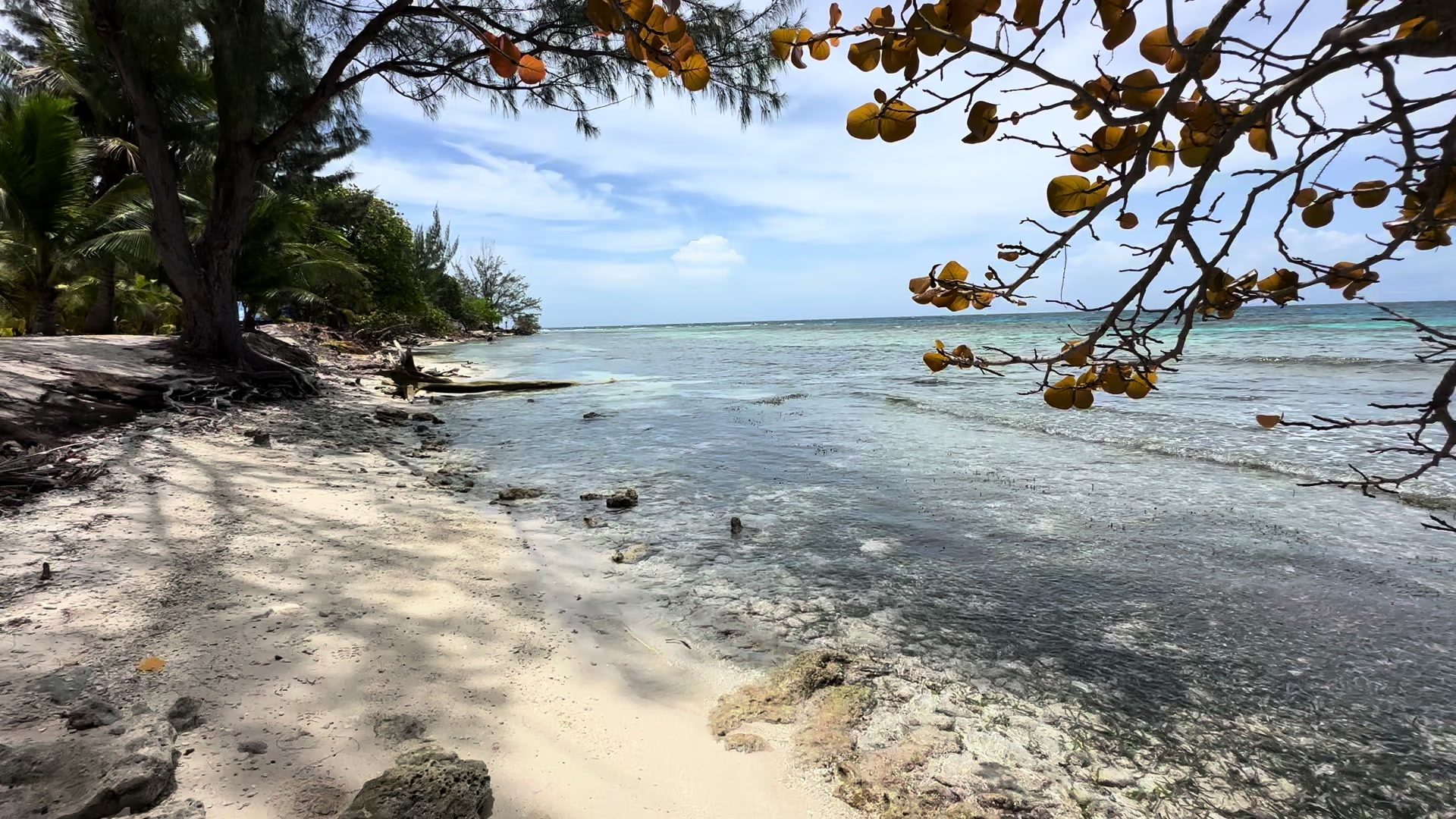 @Sunbliss Tours Utila