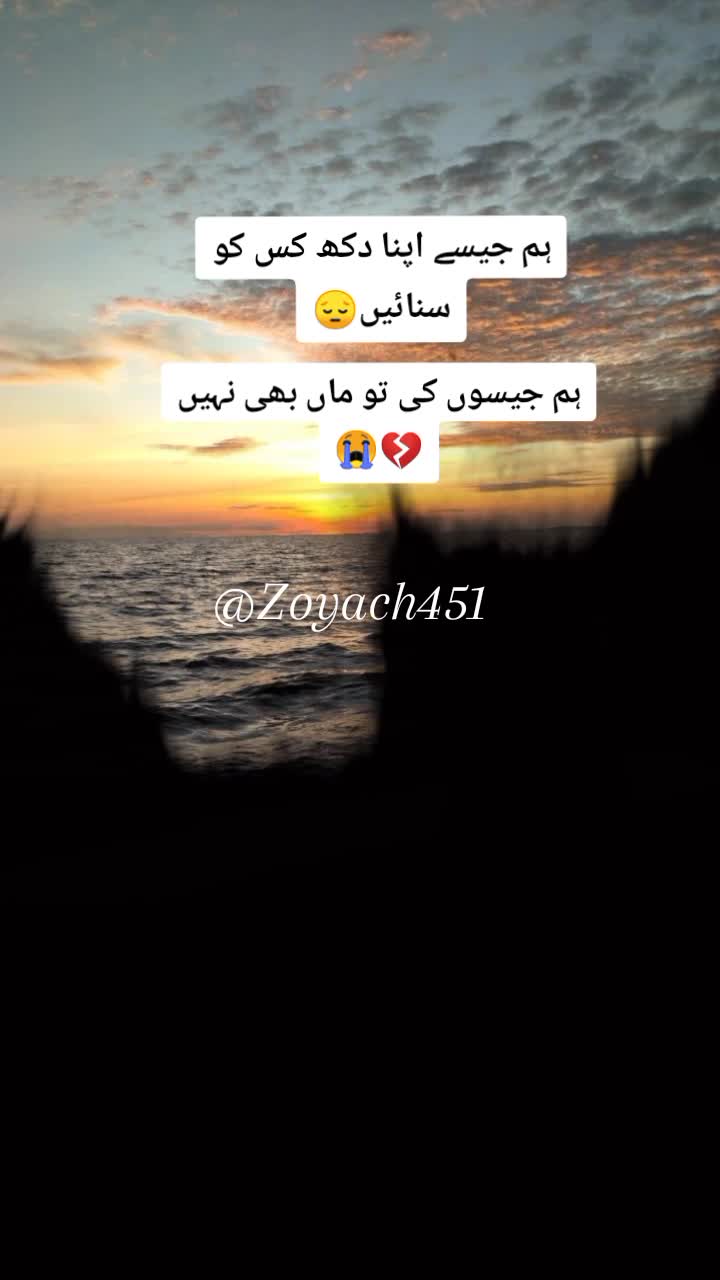 @ZOii..🦋
