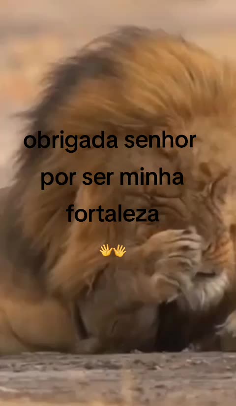 @frases motivacionais 🤗😍