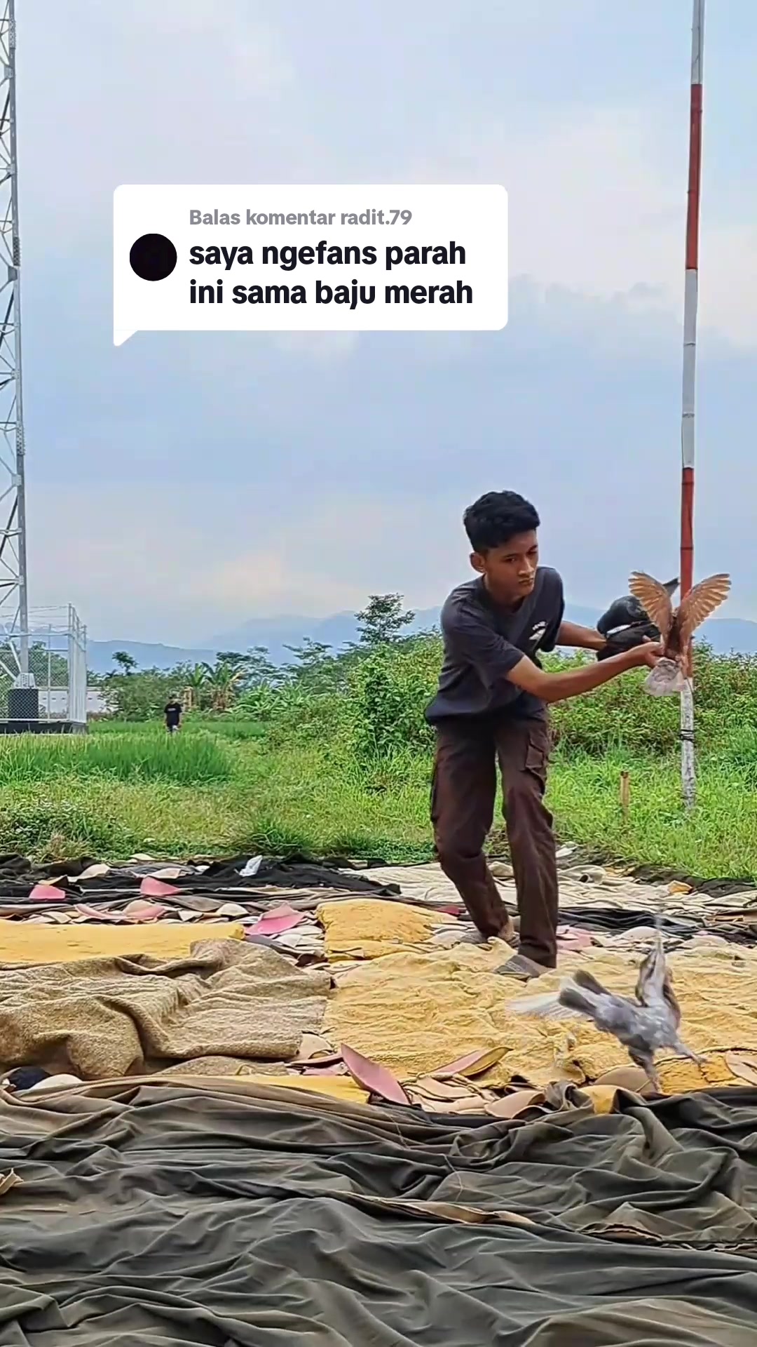 @SenggonoBf.