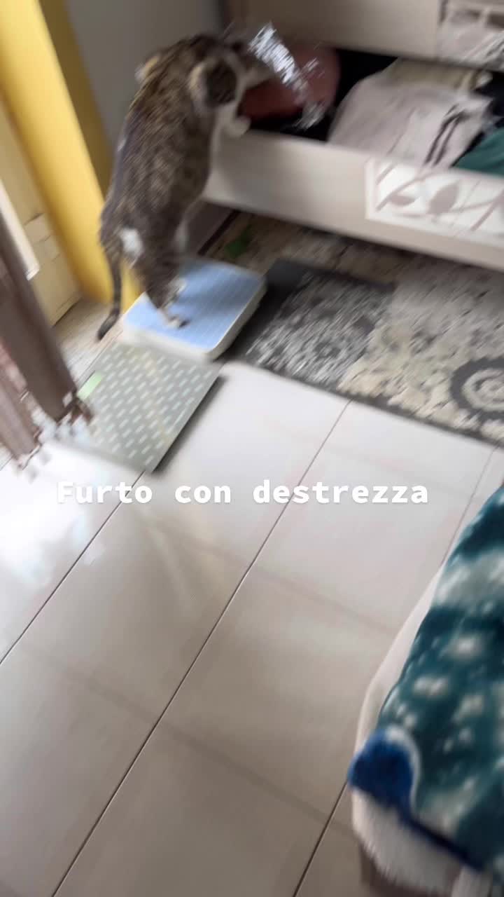 @Claudiaincincitta