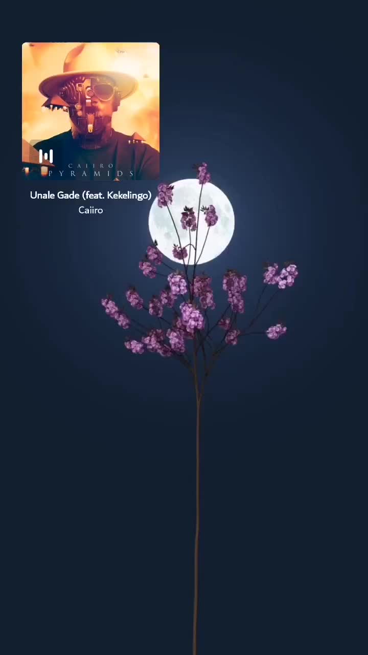 @__lyrics.za🪐