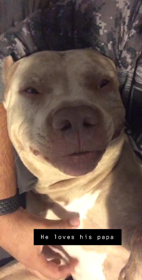 @Ghost the Bully
