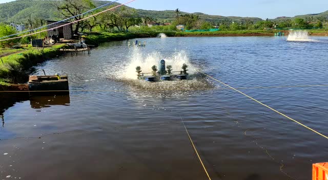 @आम्ही कोकणकर 🏝🚣🐬?