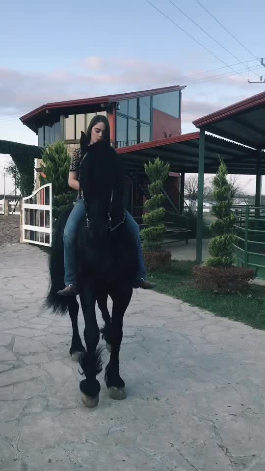 @jakyguerreroc
