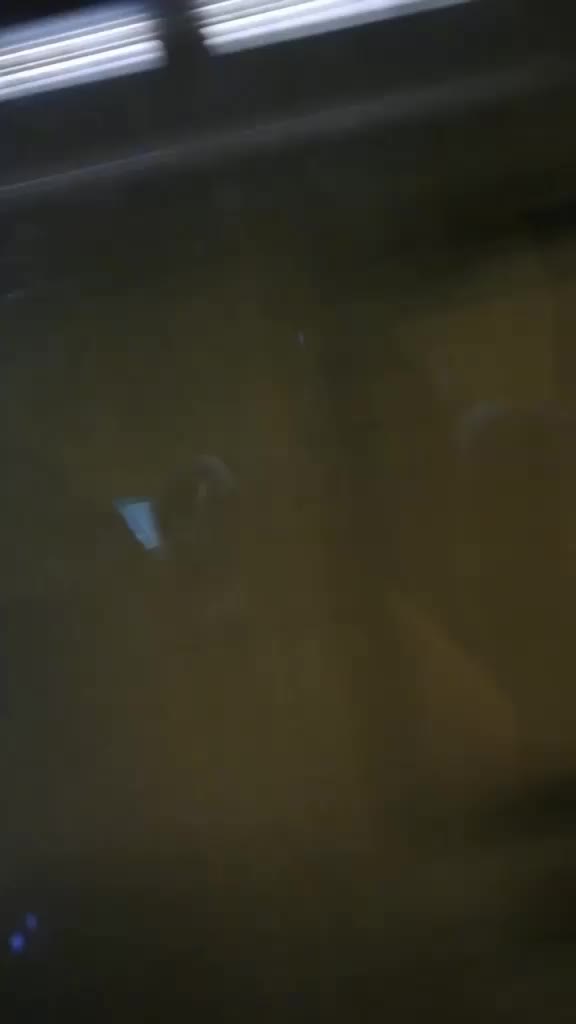 @baby_diablo