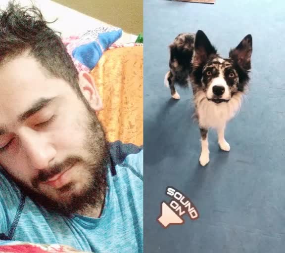 @Tayyab Shaikh