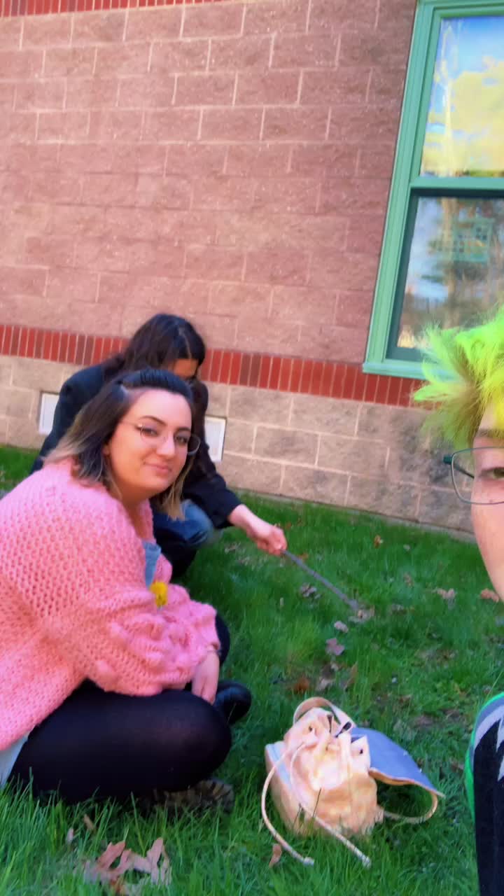@Bee
