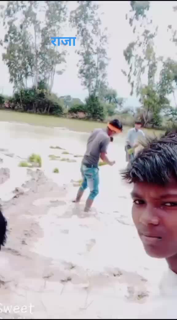 @जाटव राजा रॉयल
