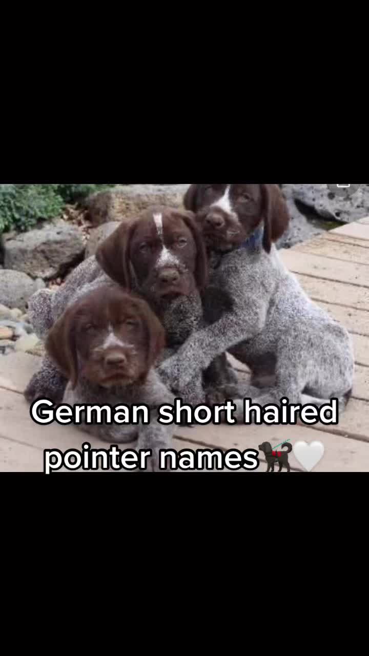 @Cute pet names