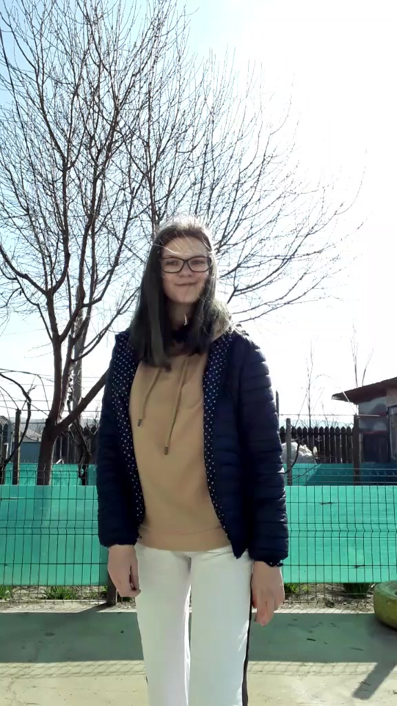 @andreea143