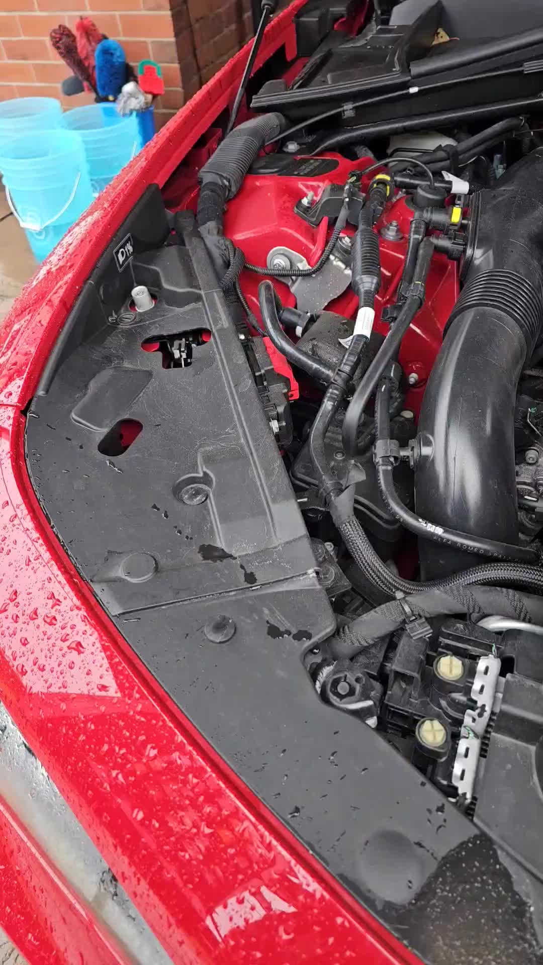 @Carbon JL