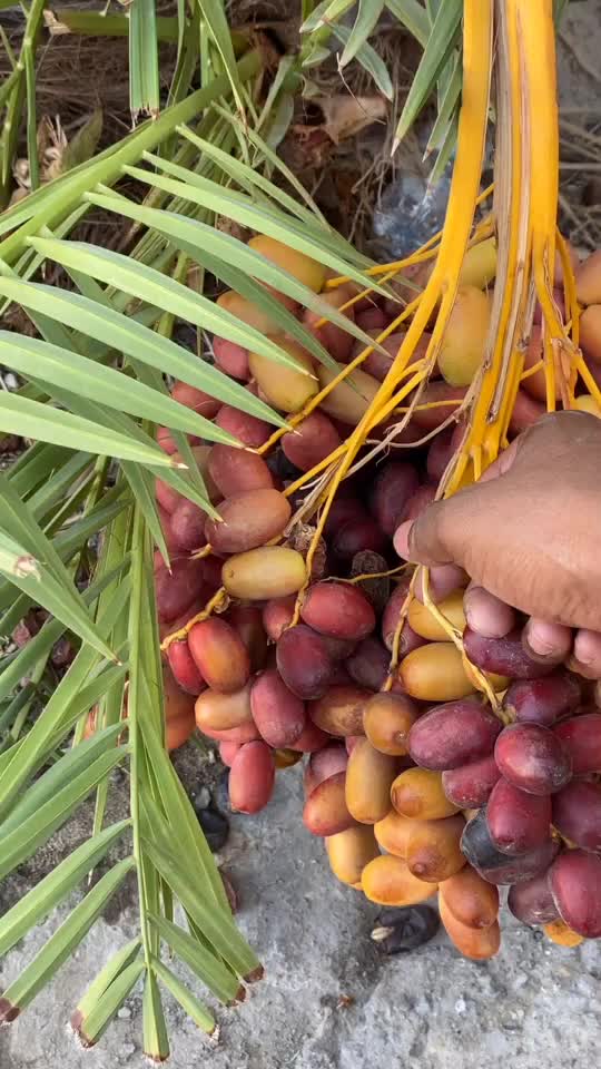 @Maddur sukruthamadduru@gmail.c