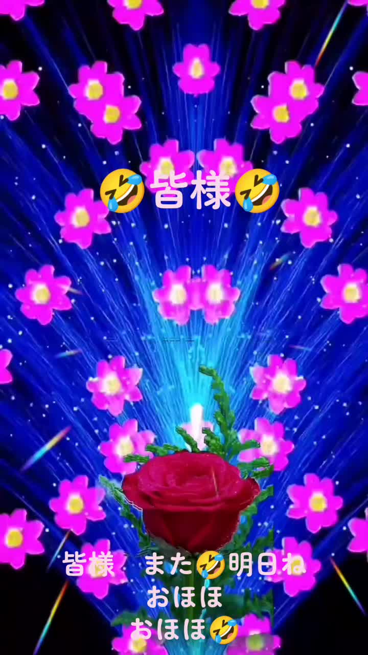 @🩷🐬海ちゃん🐬🩷🩷頑張る🩷