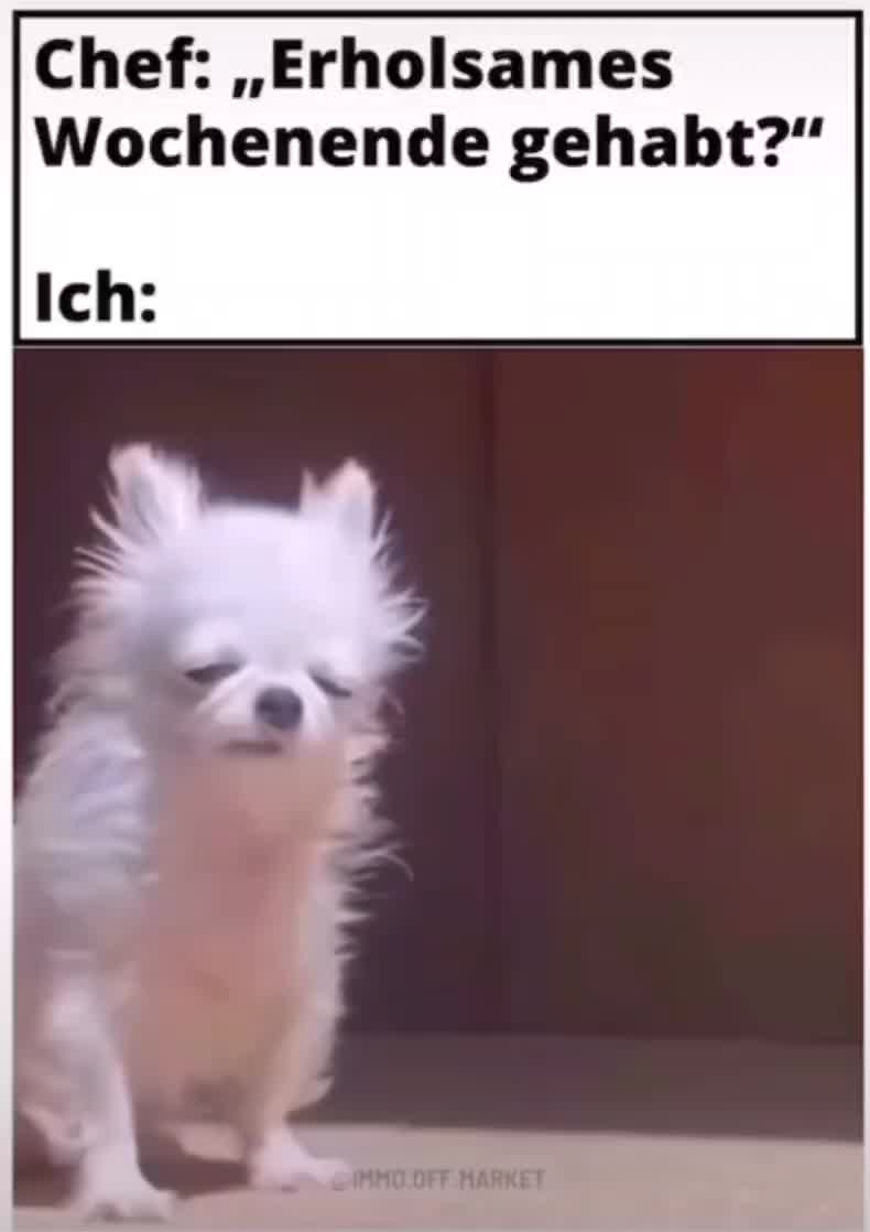 @🅢🅟🅐🅢🅢🅕🅐🅚🅣🅞🅡