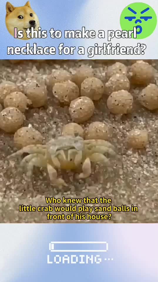 @InsectFlix