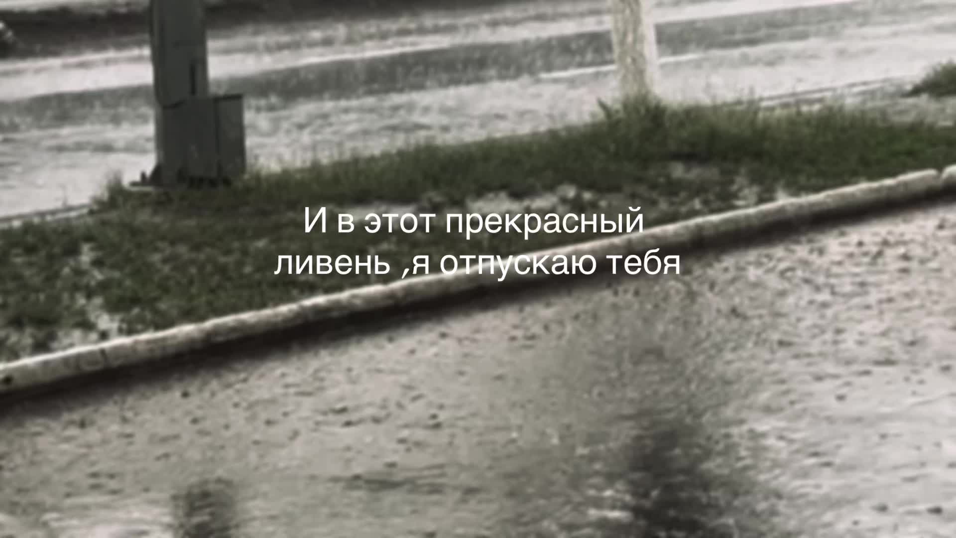 @stalker