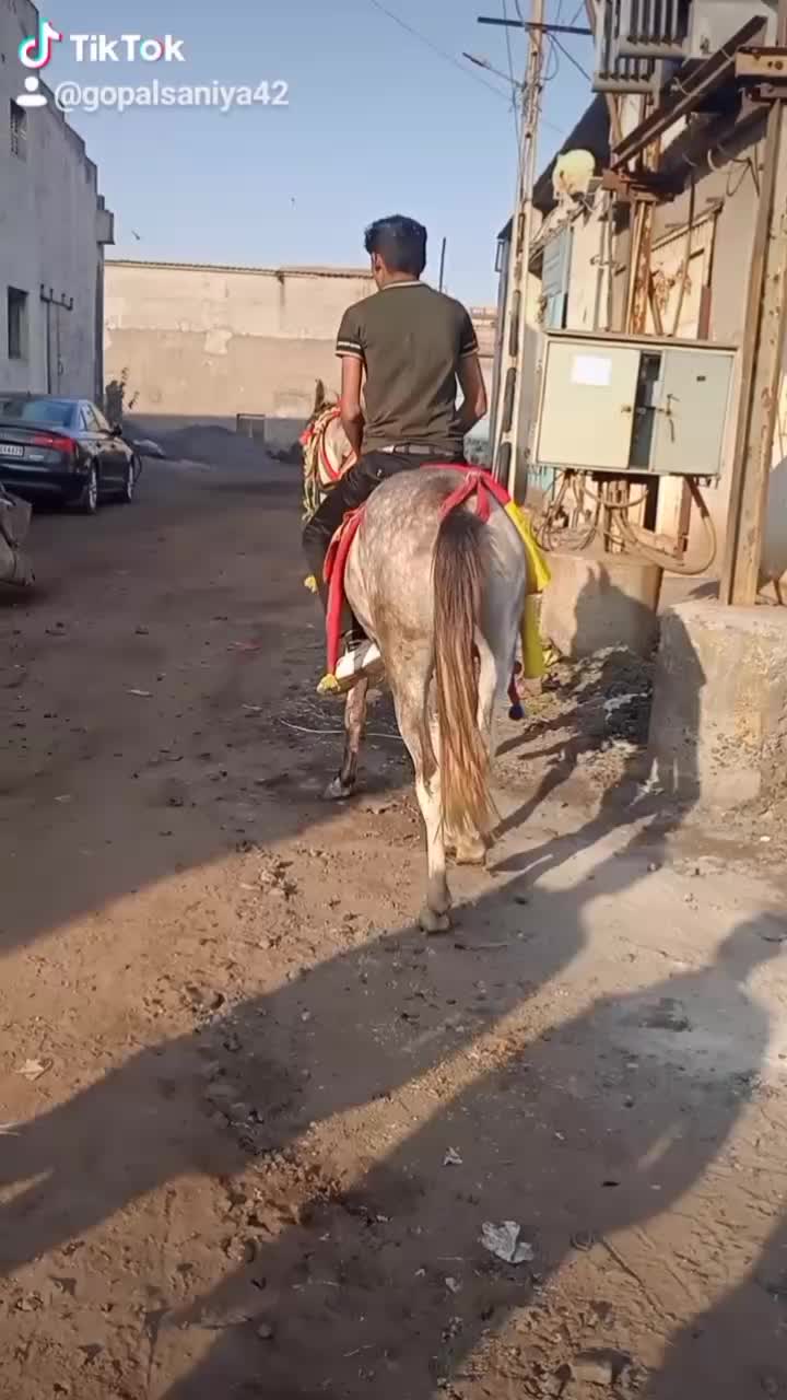 @gopal saniya