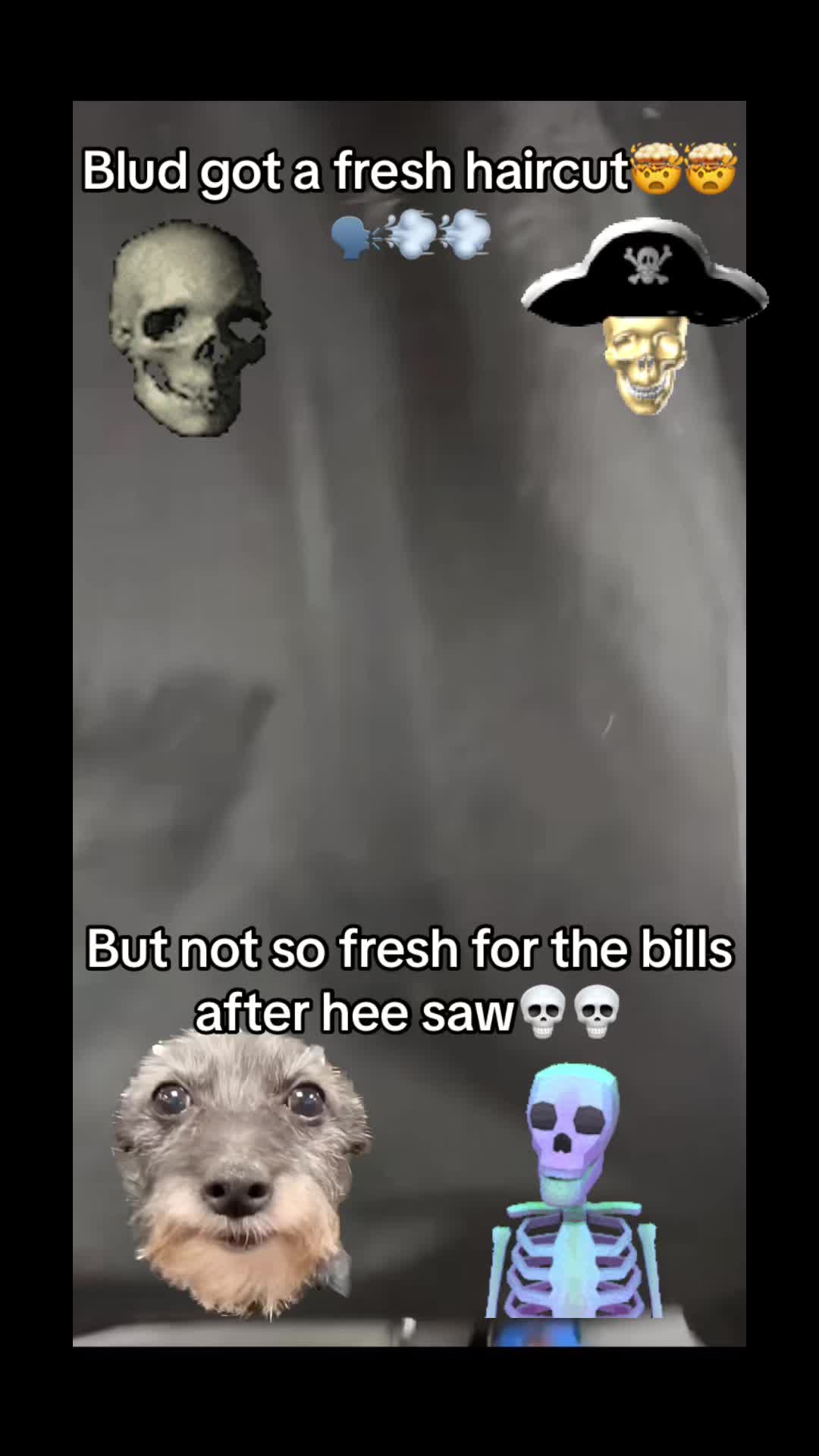 @NoCode_12