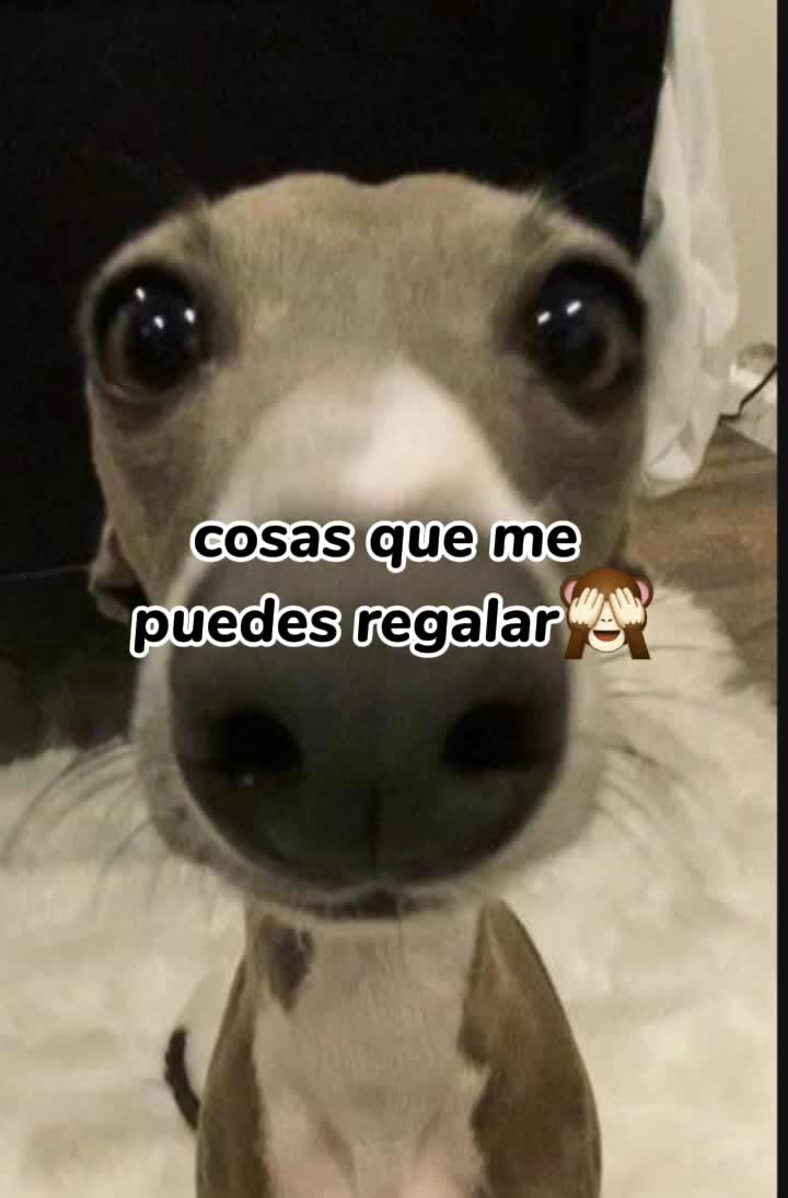 @Ximenita🫶🏻