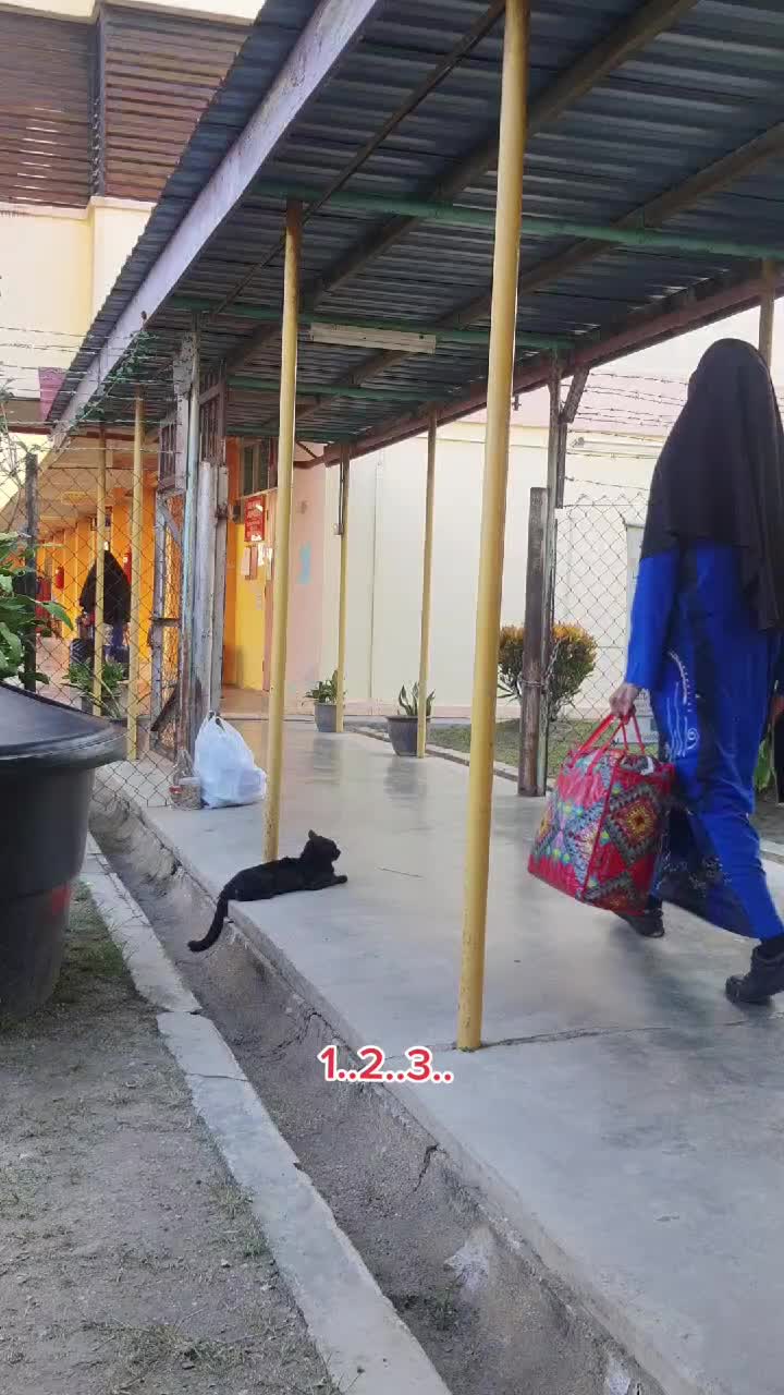 @misstenangredha