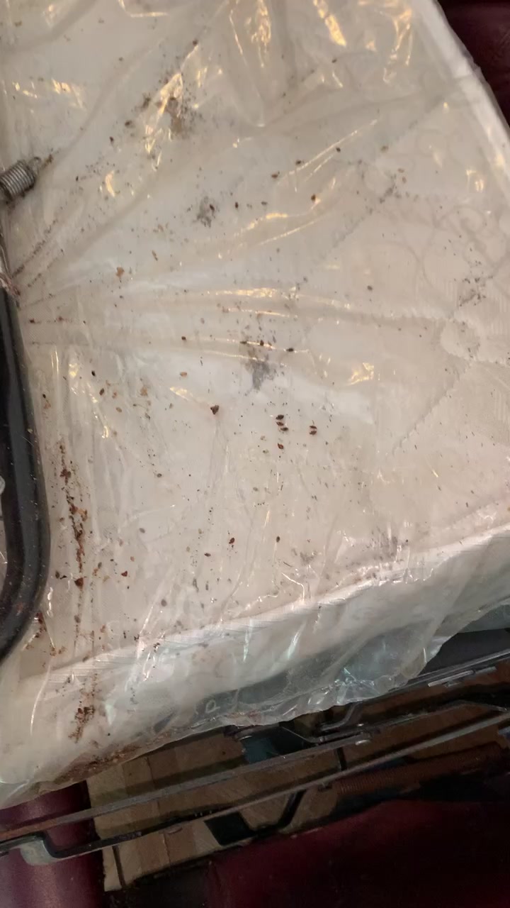 @JetCo Pest & Bed Bug Services
