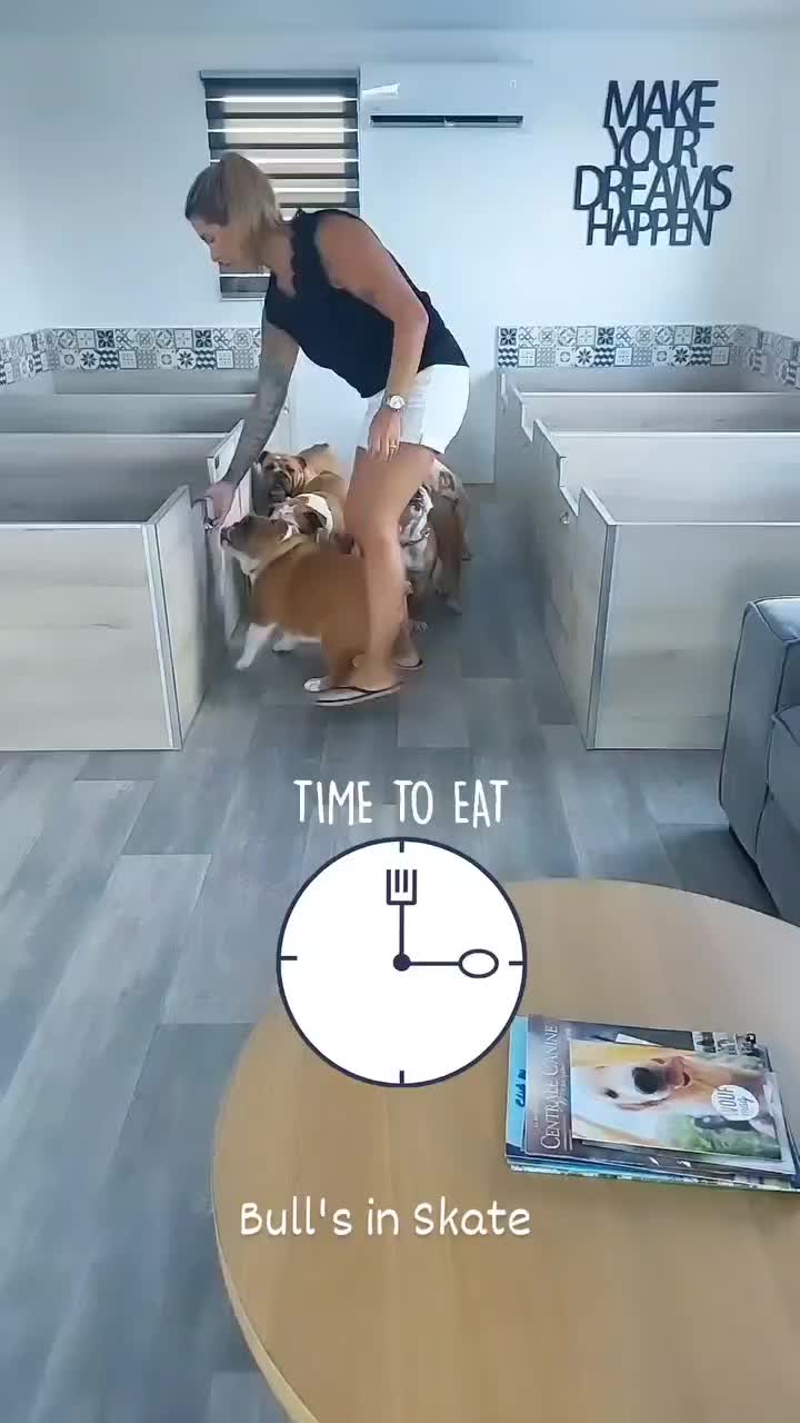 @bulls_in_skate