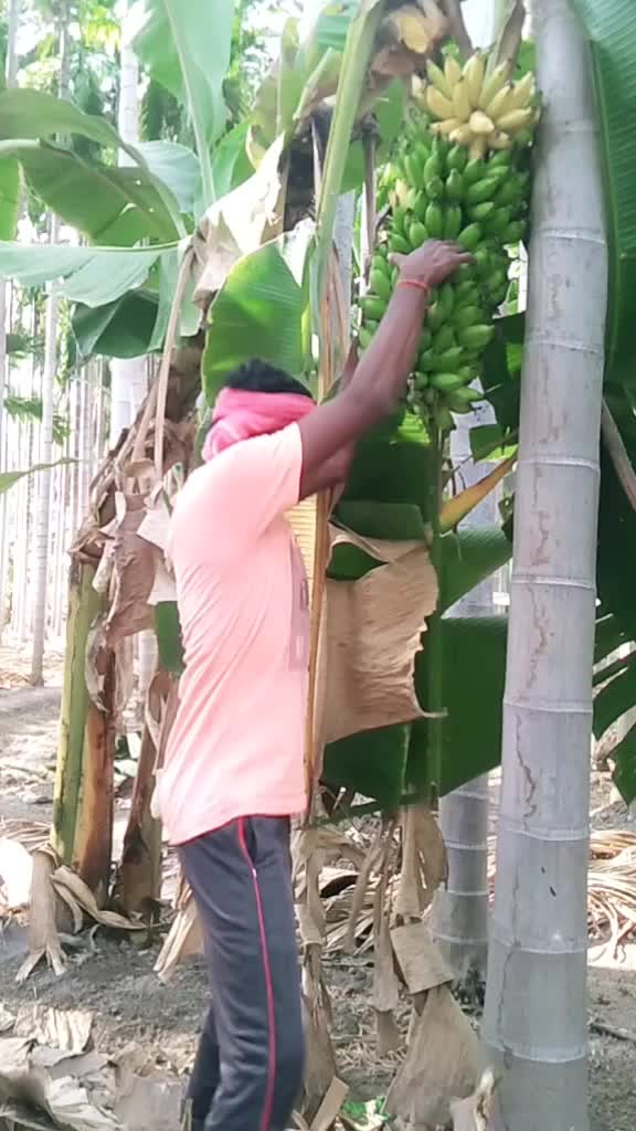 @RAJESH ARMEE