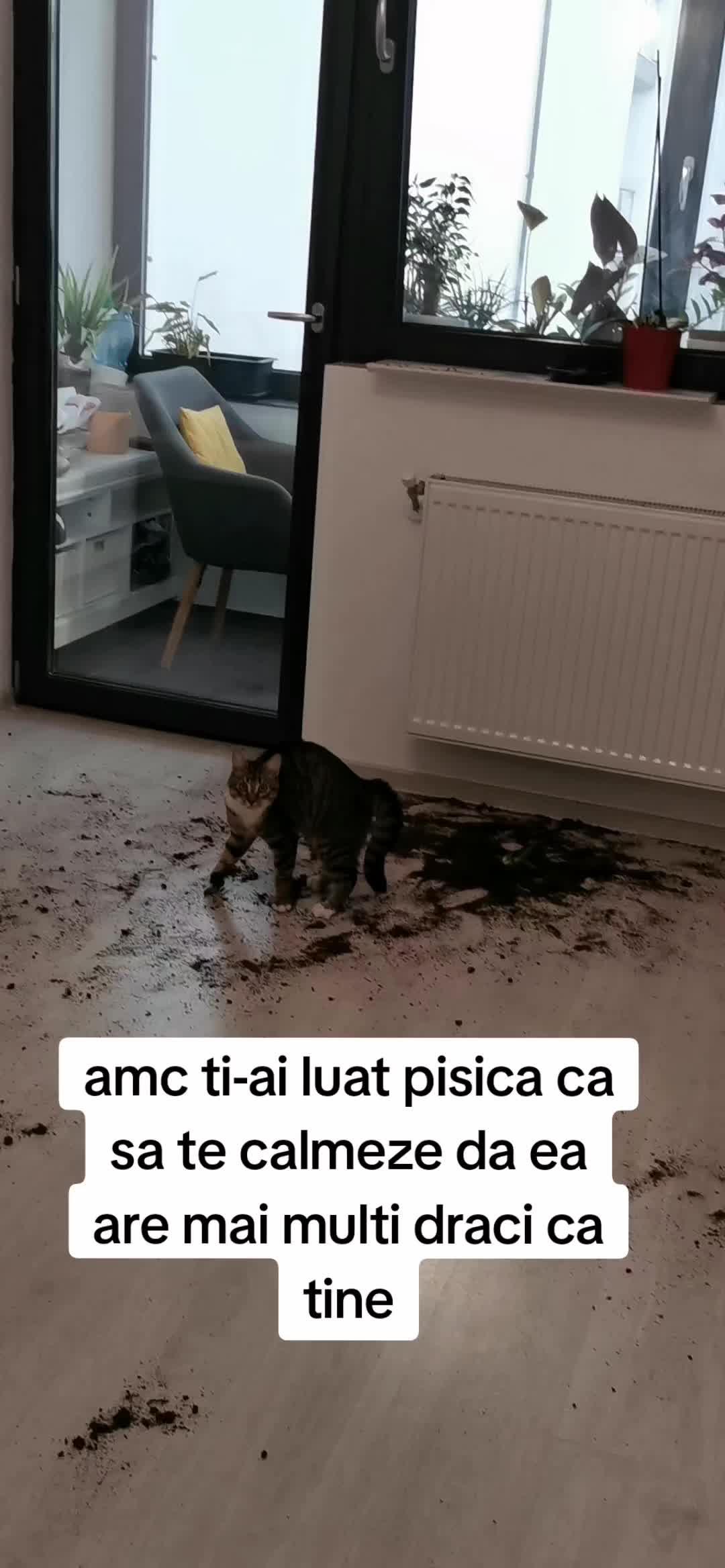 @Crets Anca