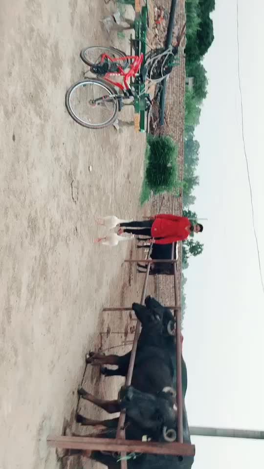 @Rajbir Suthar
