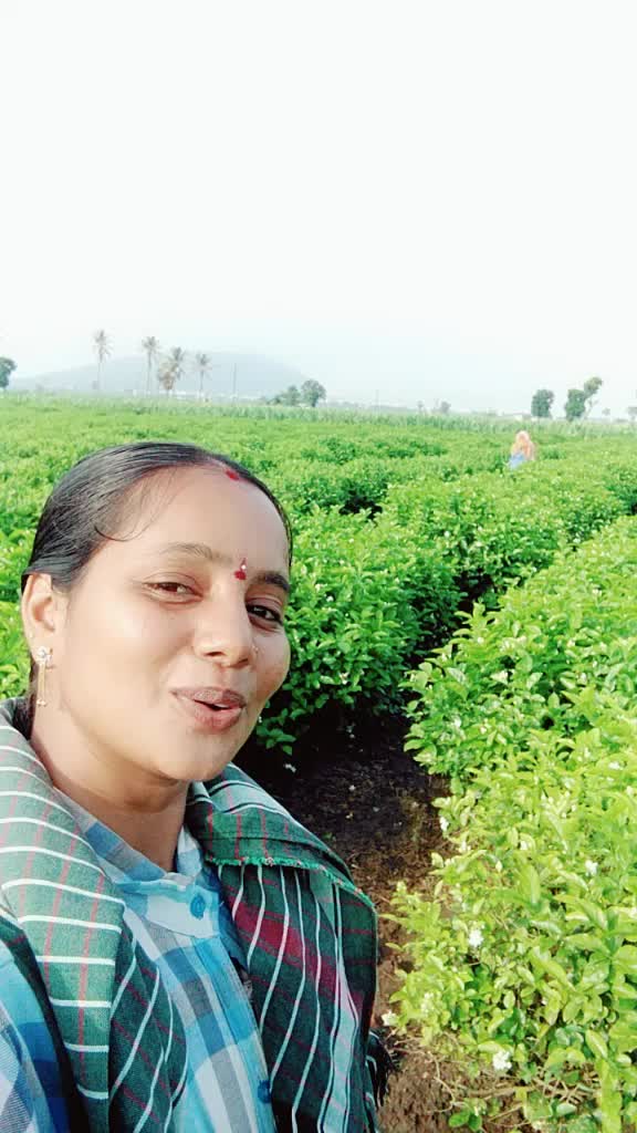 @kartik bomminenni