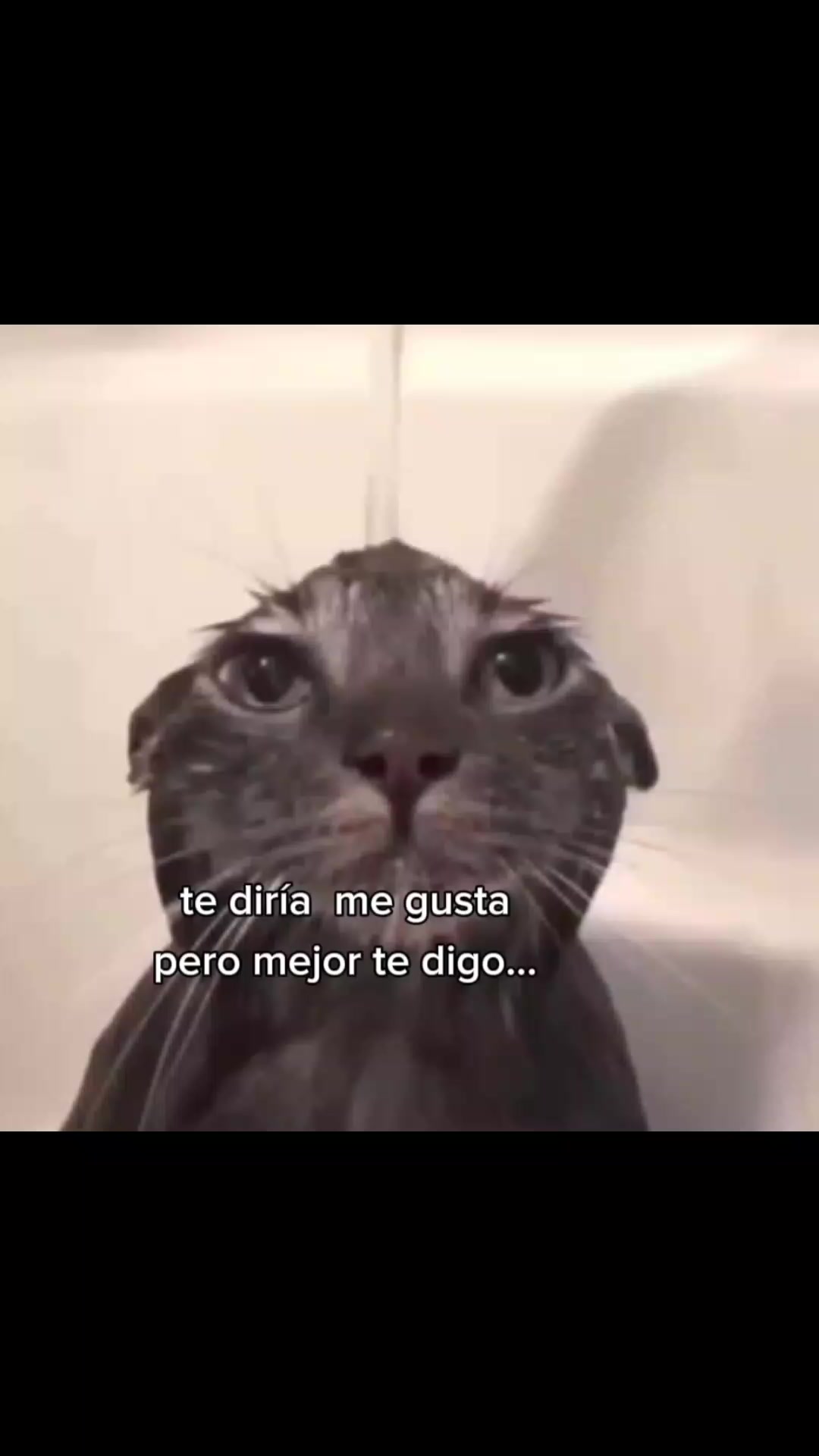 @ᴍᴀʀɪᴏˡᶻ