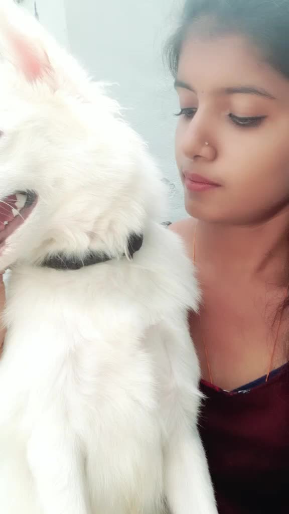 @Varshavarshu