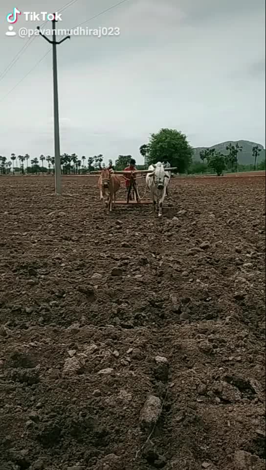 @Pavan Mudhiraj