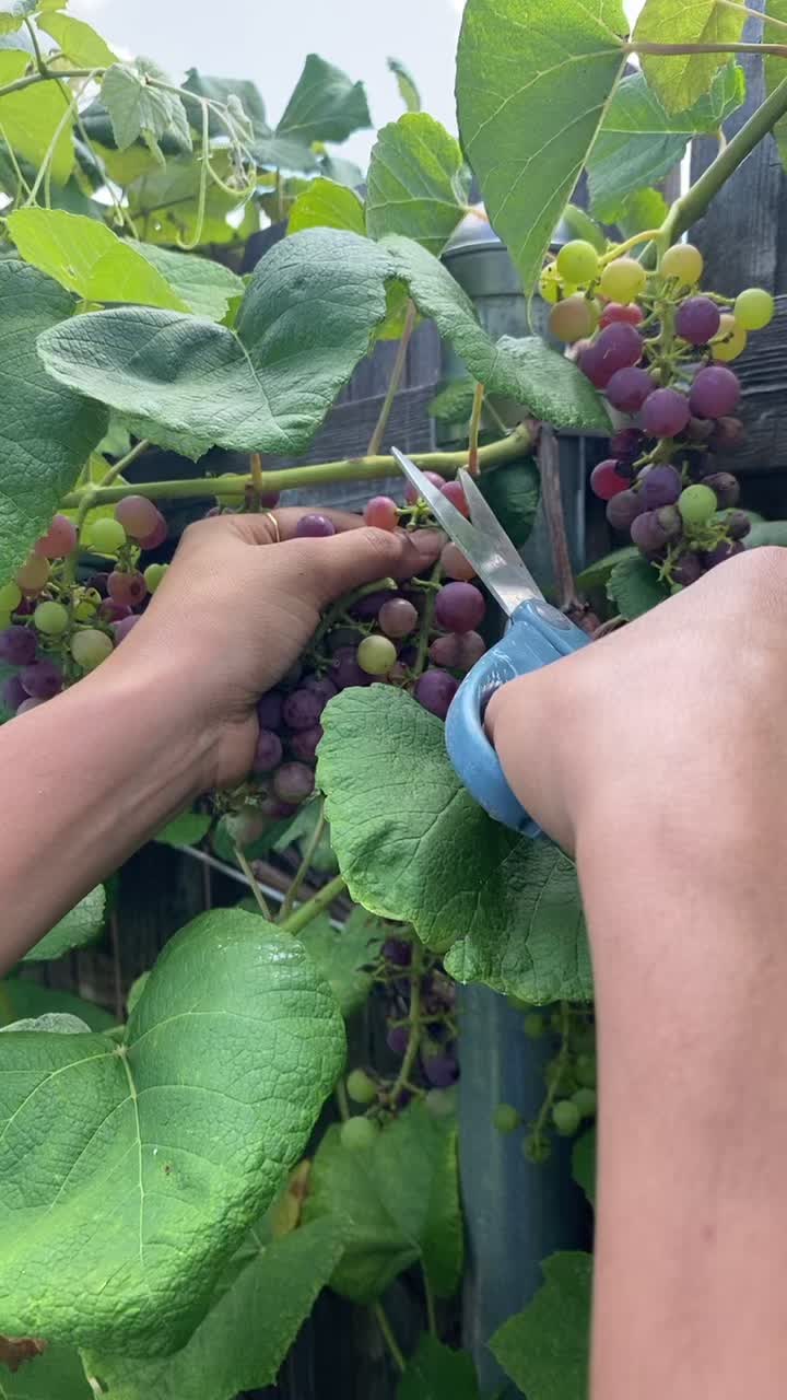 @Deepthiphalgun