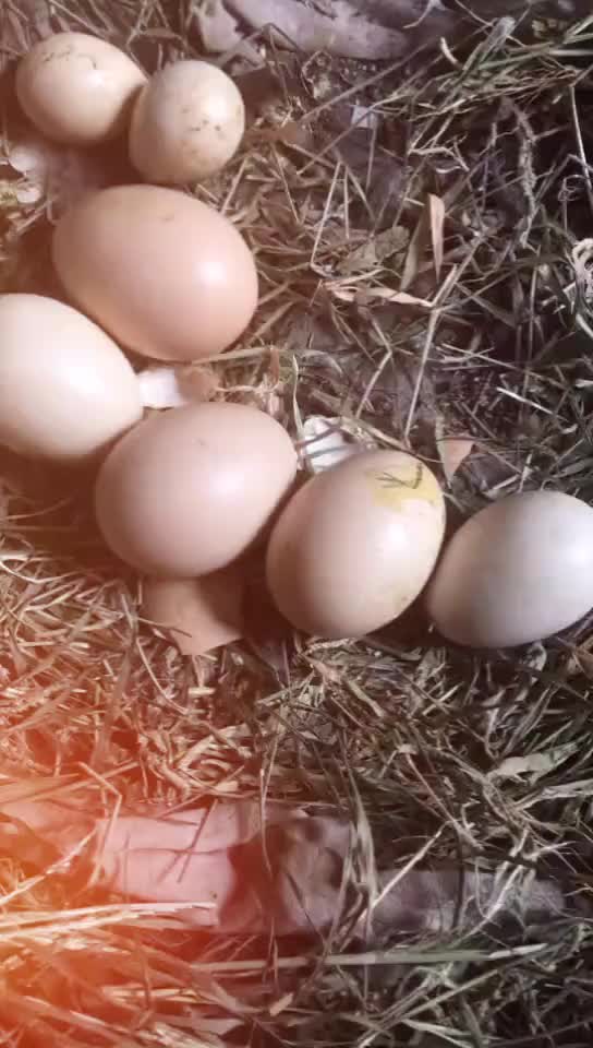 @KaranArsud810