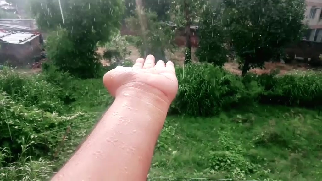 @TikTok Viewer