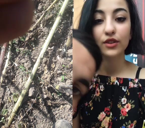 @Cemal Aygün