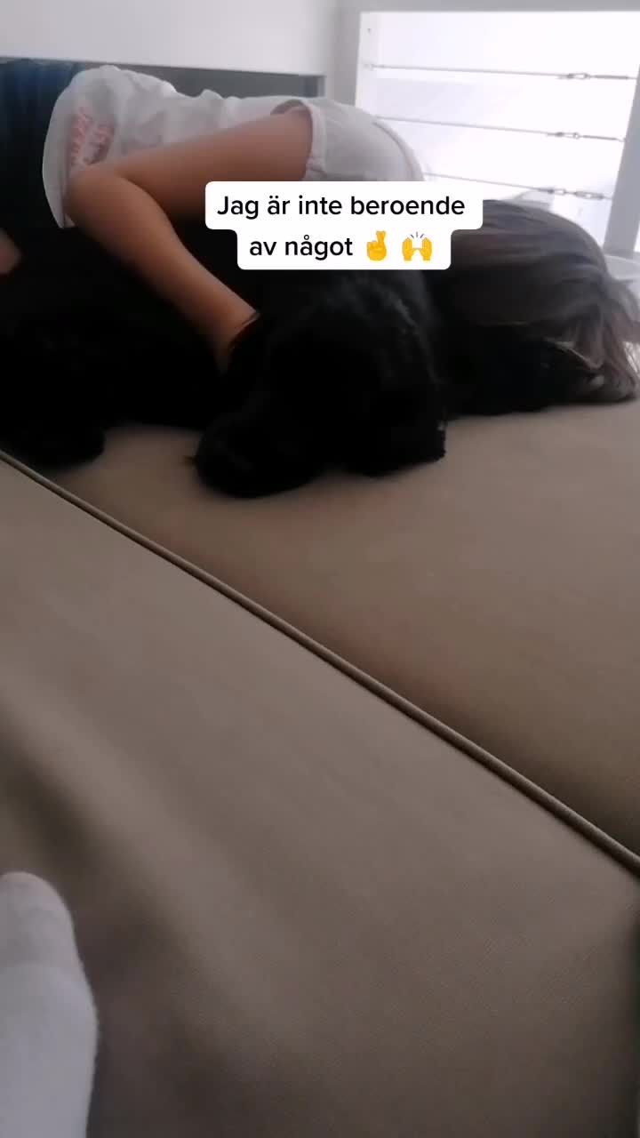 @Cockerspanielester