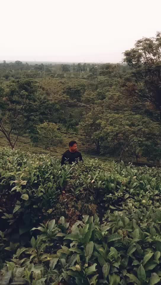 @CHANDAN KALANDI