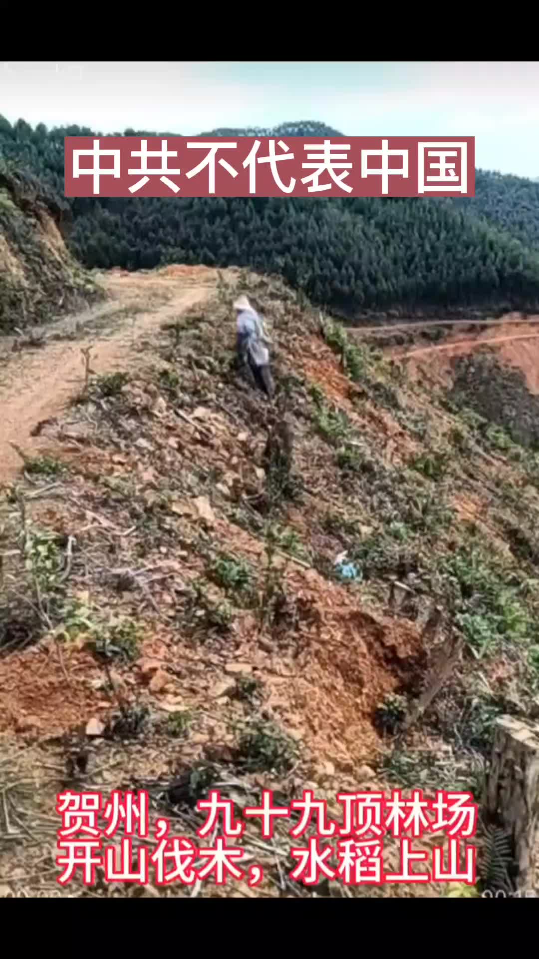 @新青年•中国观察