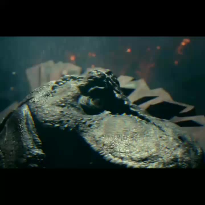 @🦖🦕