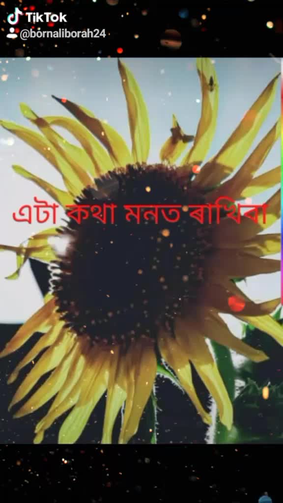 @bornali borah