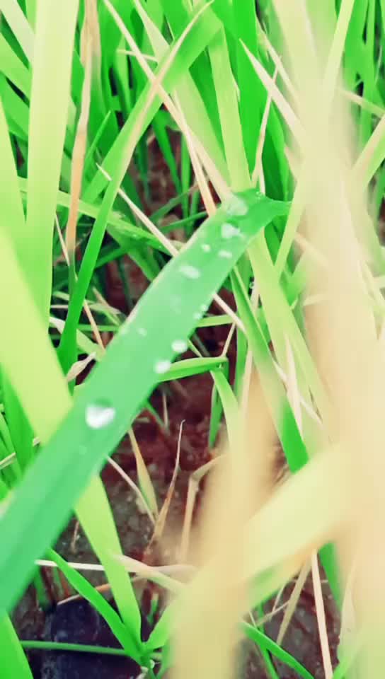 @Mekala Madhu Yadav