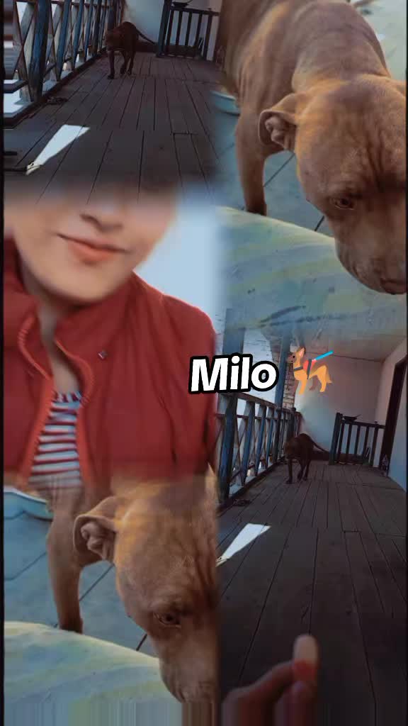 @@> ❣