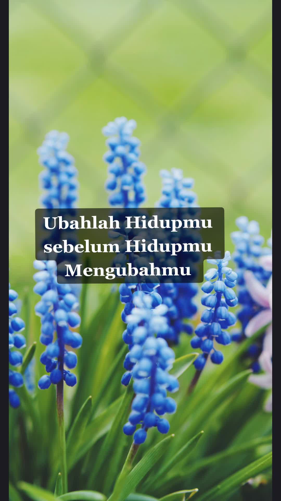 @CincinWanita