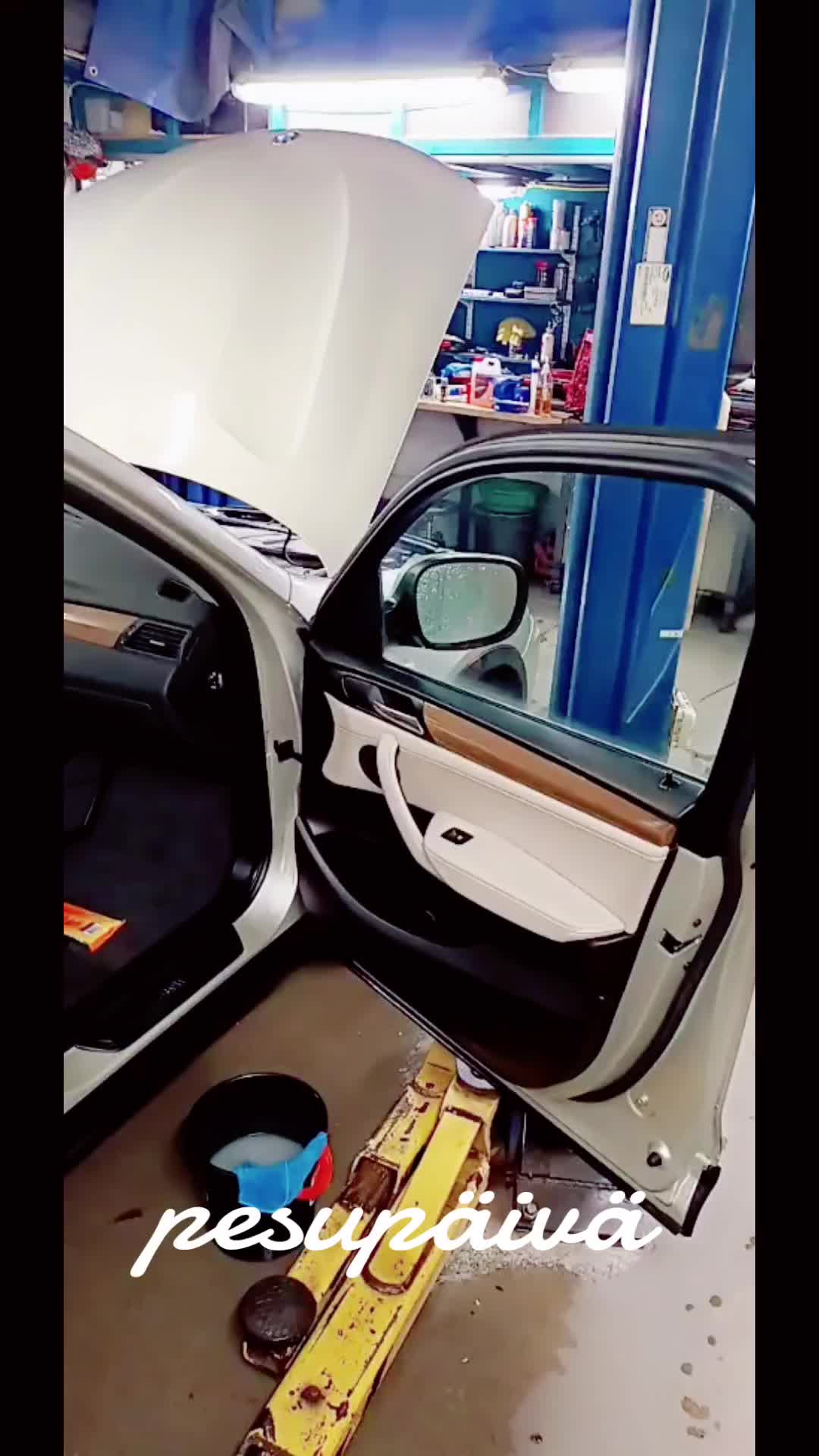 @Toufii