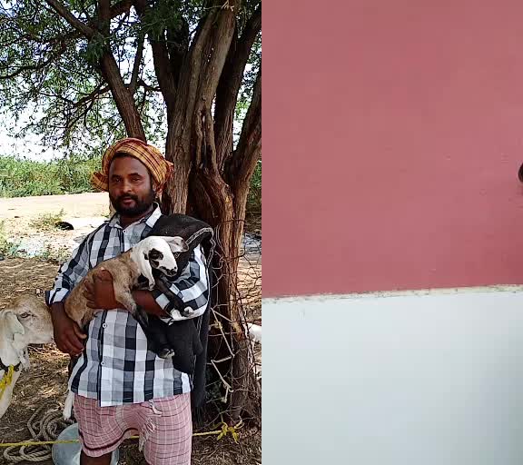 @jotibha.mane