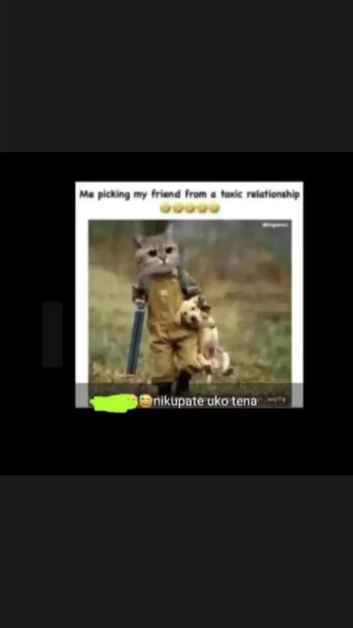 @_alpha321_