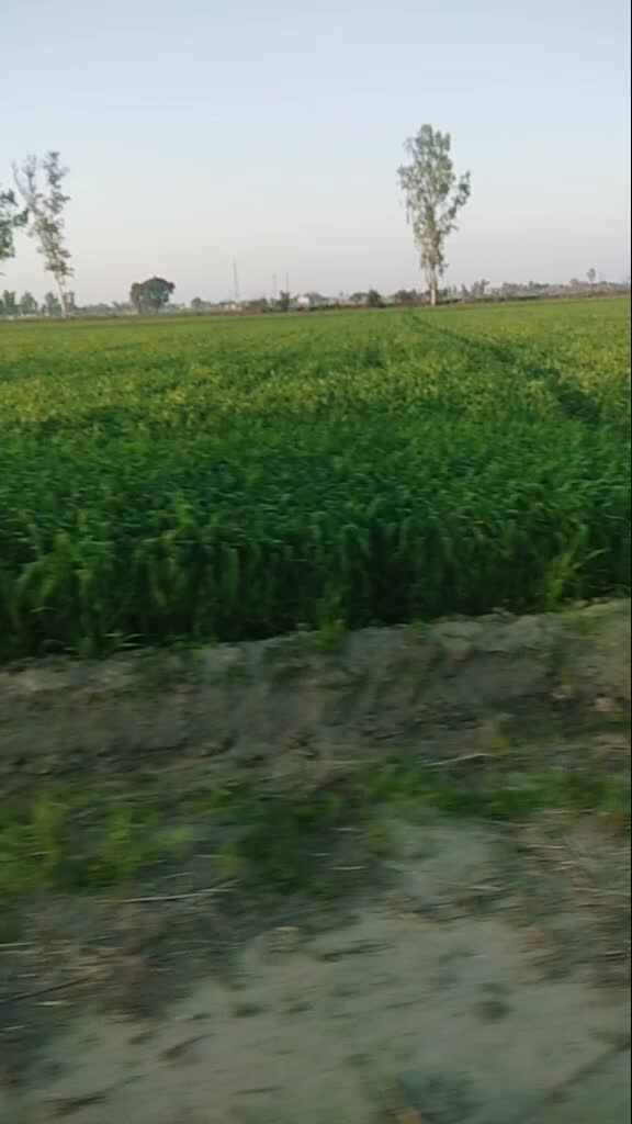 @user4683479367414